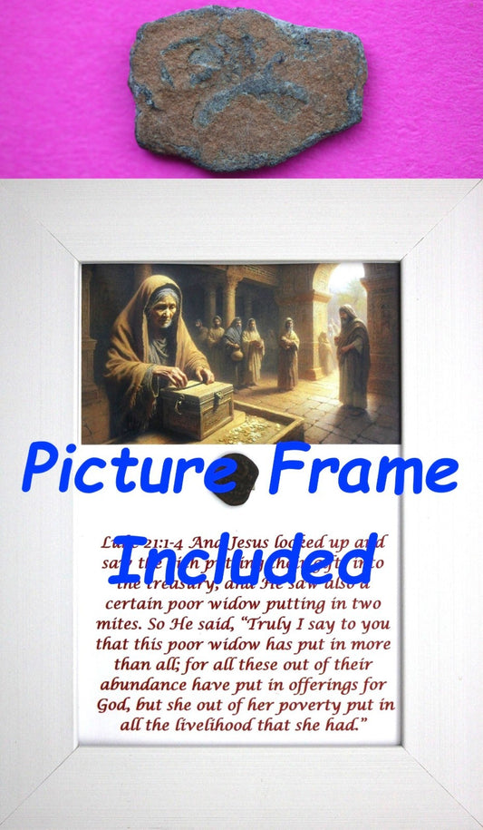 Widows Mite Coin Holy Land Artifact Free Display Frame Jesus Christ Lifetime 200