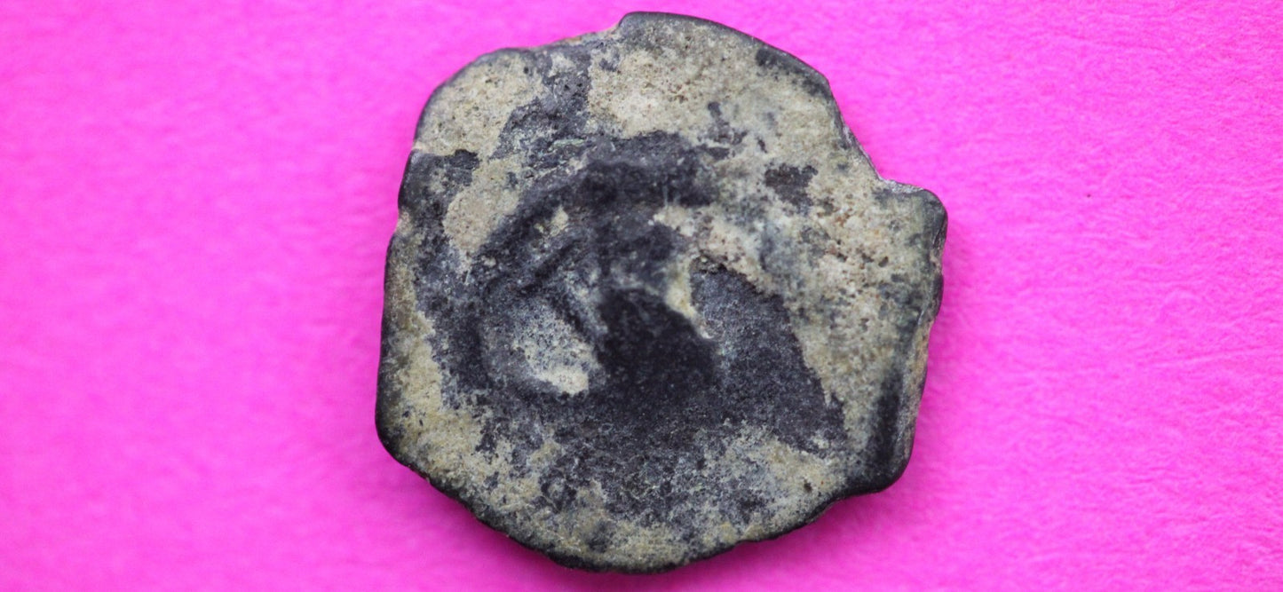 Widows Mite Coin Holy Land Artifact Free Display Frame Jesus Christ Lifetime 109