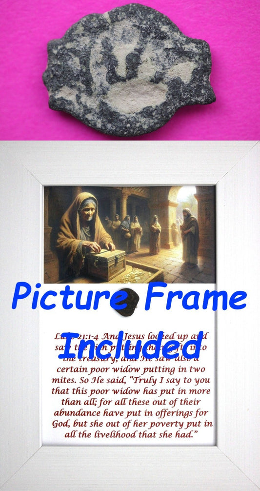 Widows Mite Coin Holy Land Artifact Free Display Frame Jesus Christ Lifetime 85
