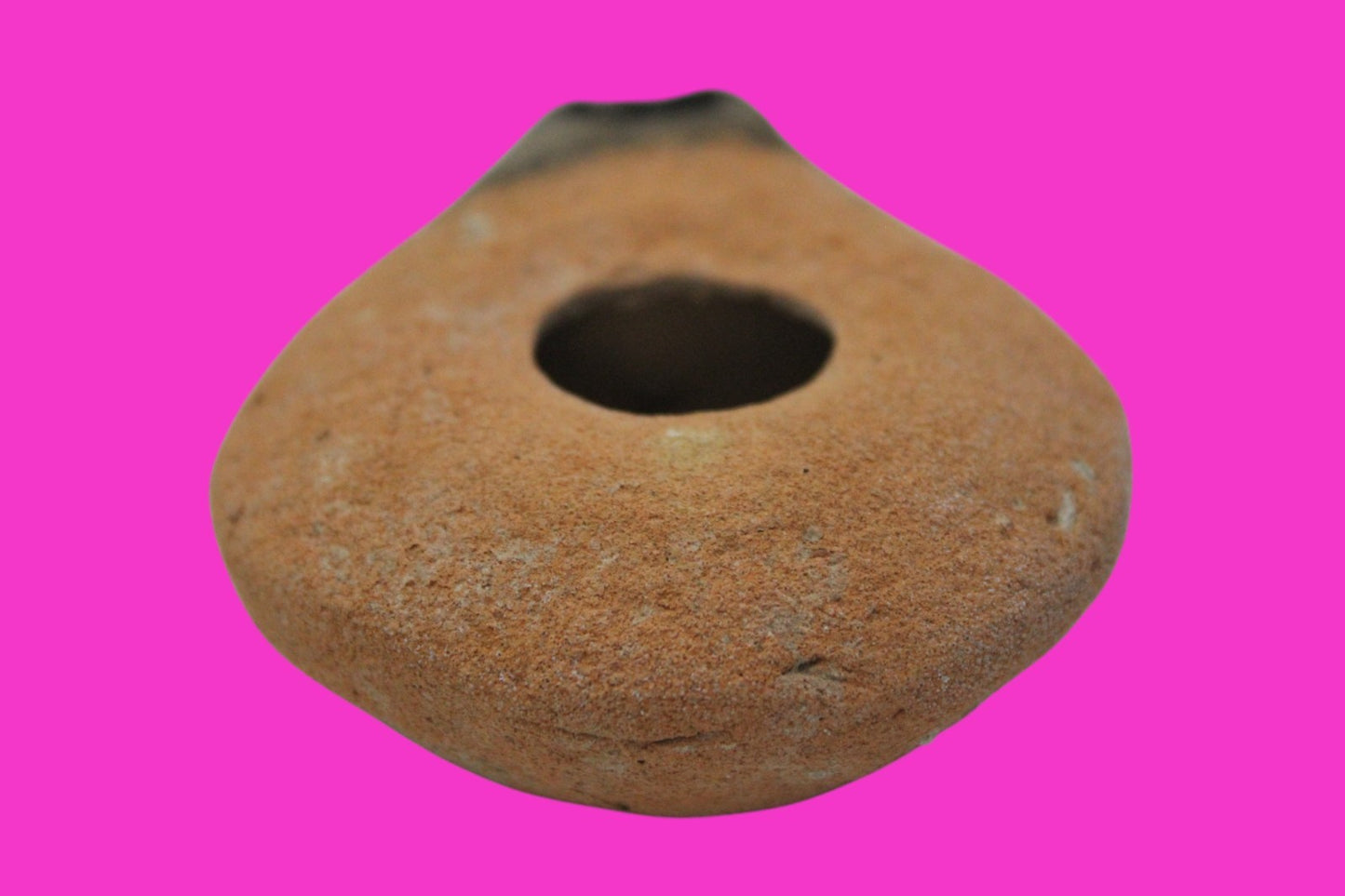 Ancient Holy Land Oil Lamp Artifact Jesus Christ Home Land 100BC-100AD COA 49