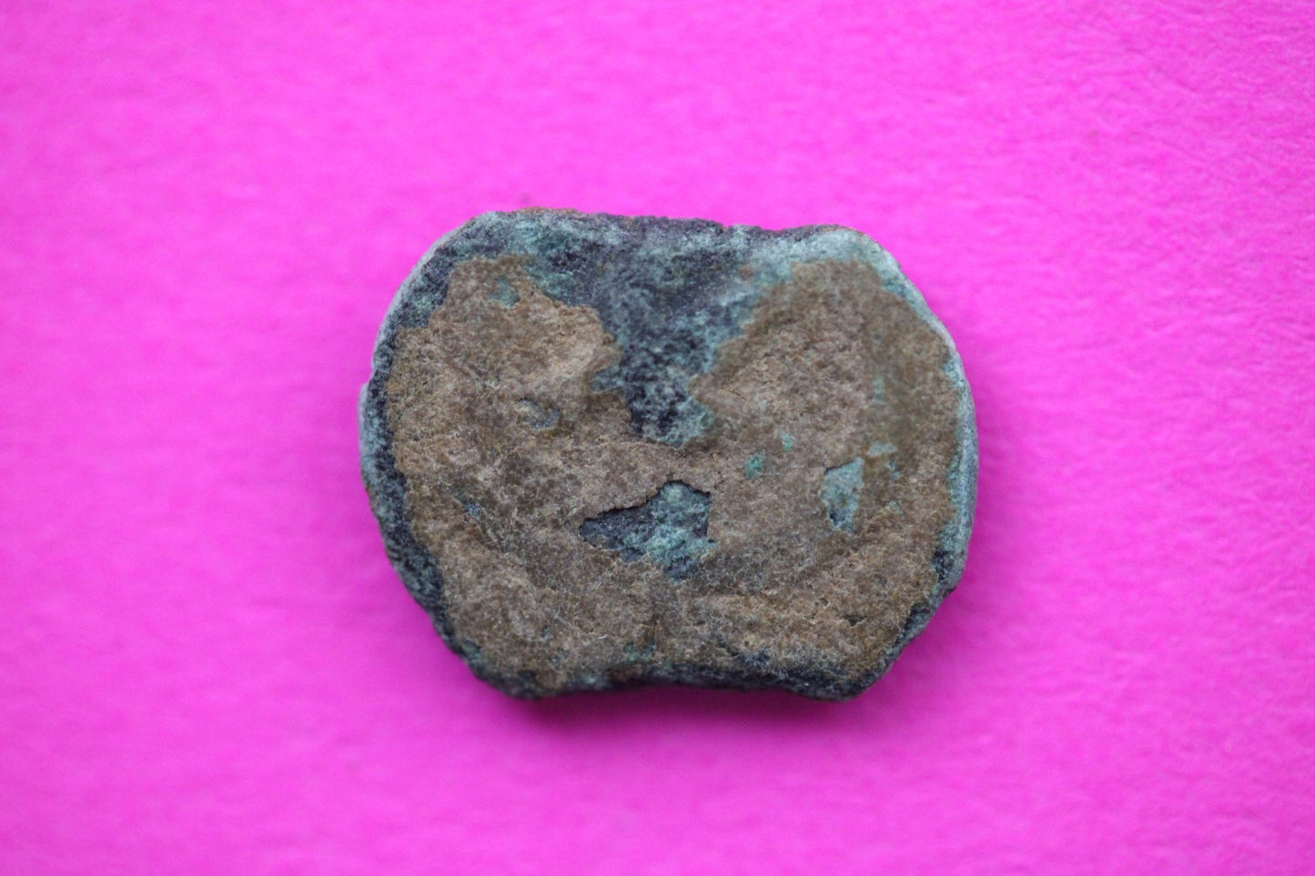 Widows Mite Coin Holy Land Artifact Free Display Frame Jesus Christ Lifetime 197