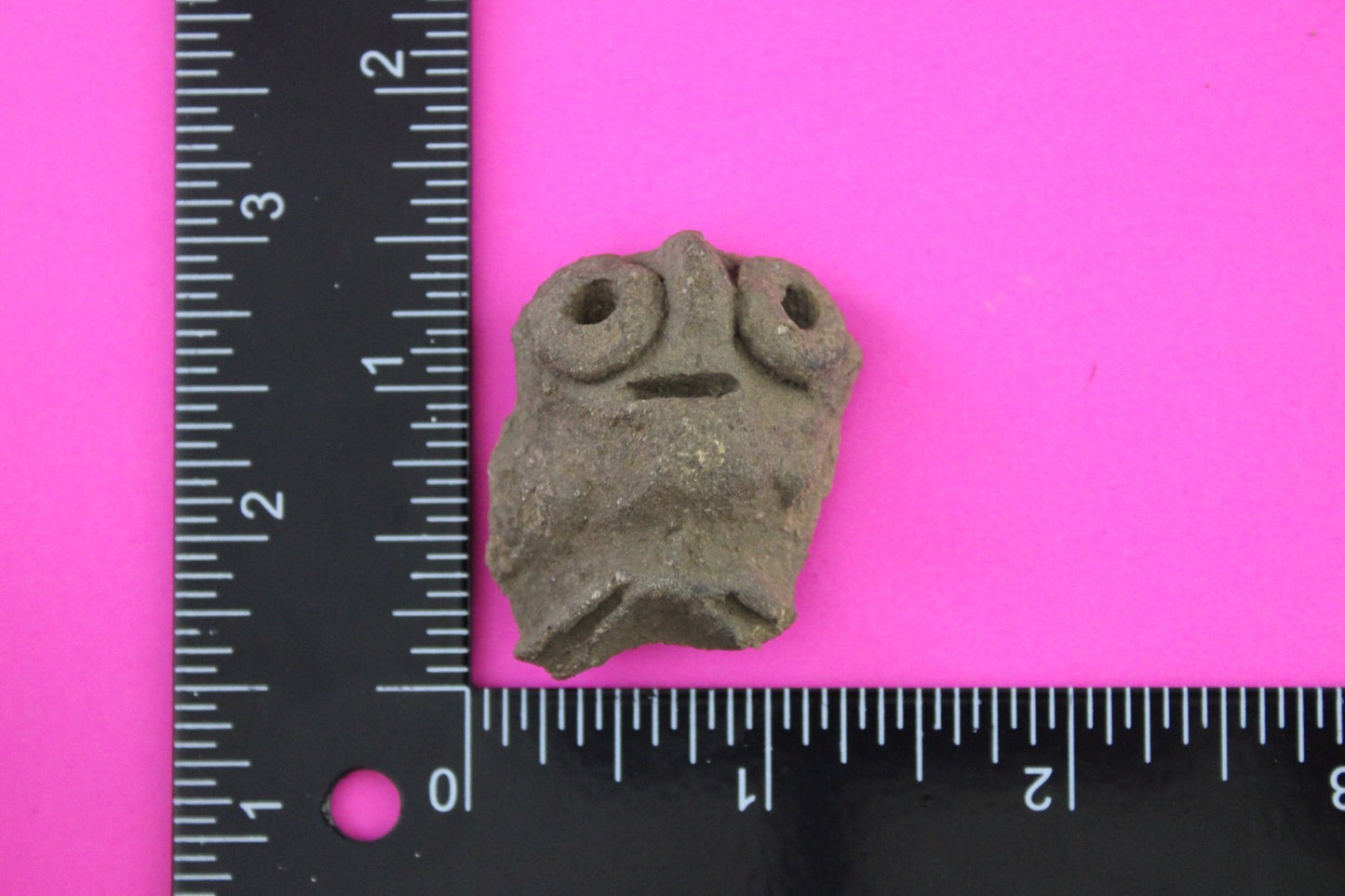 Puerto Rico Taino Pre Columbian Pottery Artifact FREE Display Case 1000AD COA 68