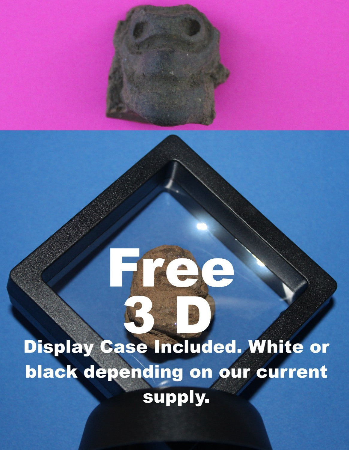 Puerto Rico Taino Pre Columbian Pottery Artifact FREE Display Case 1000AD COA 92