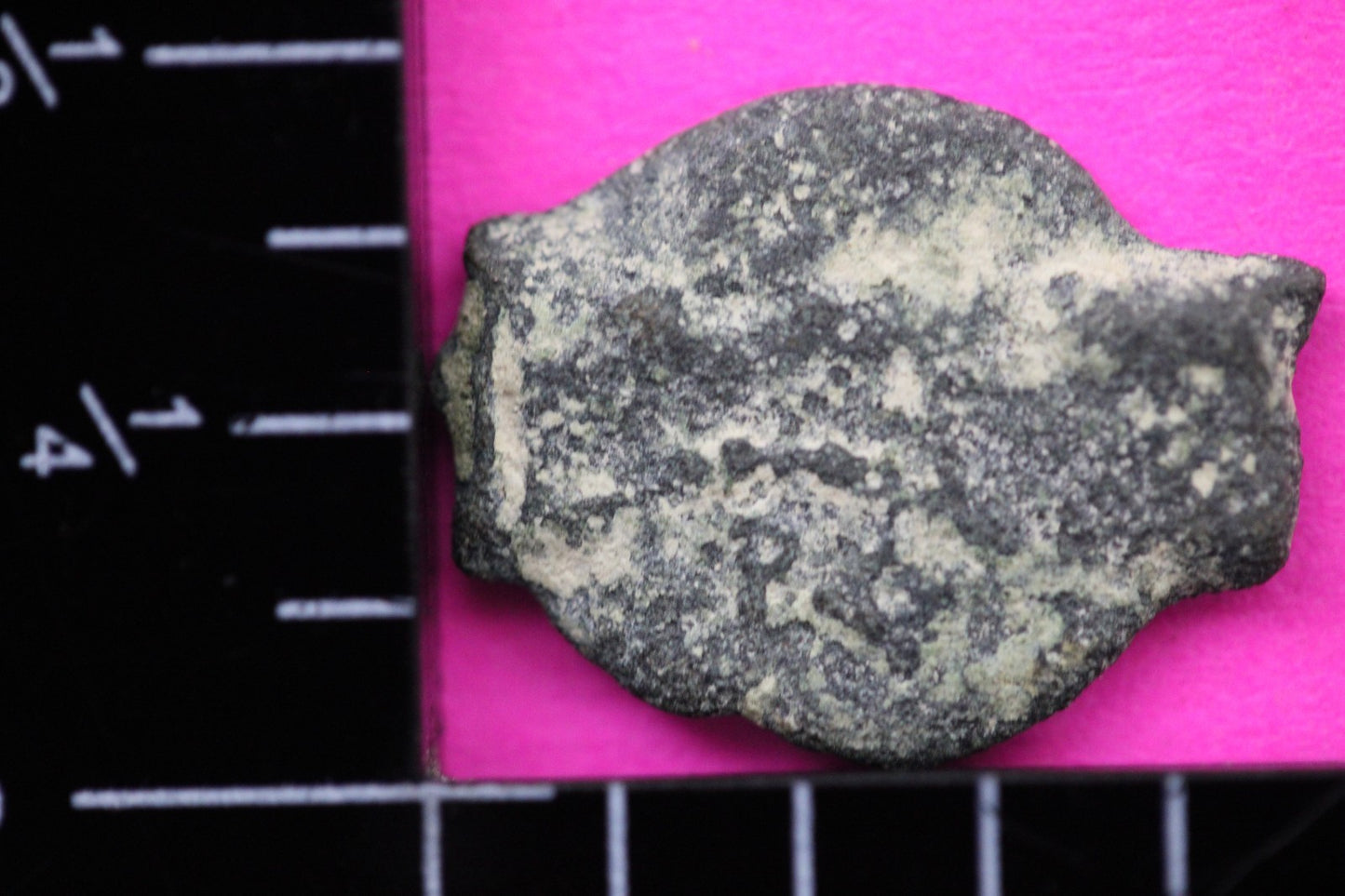 Widows Mite Coin Holy Land Artifact Free Display Frame Jesus Christ Lifetime 85