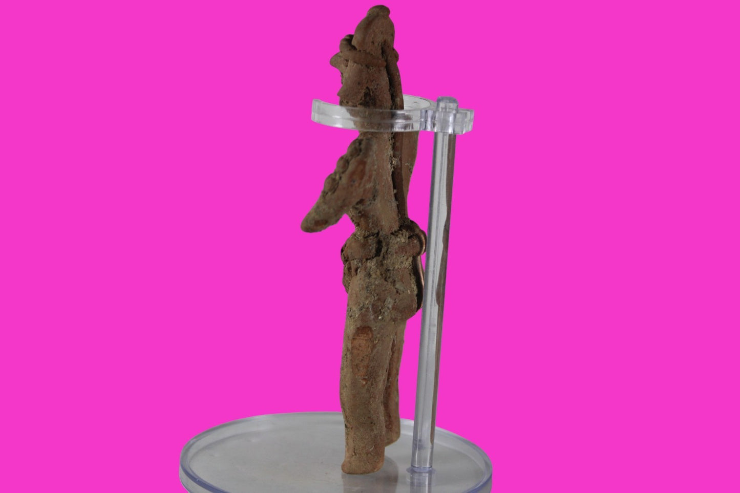 Pre Columbian Artifact hi Quality Shaft Tomb Figure Colima Mexico 100BC COA 280