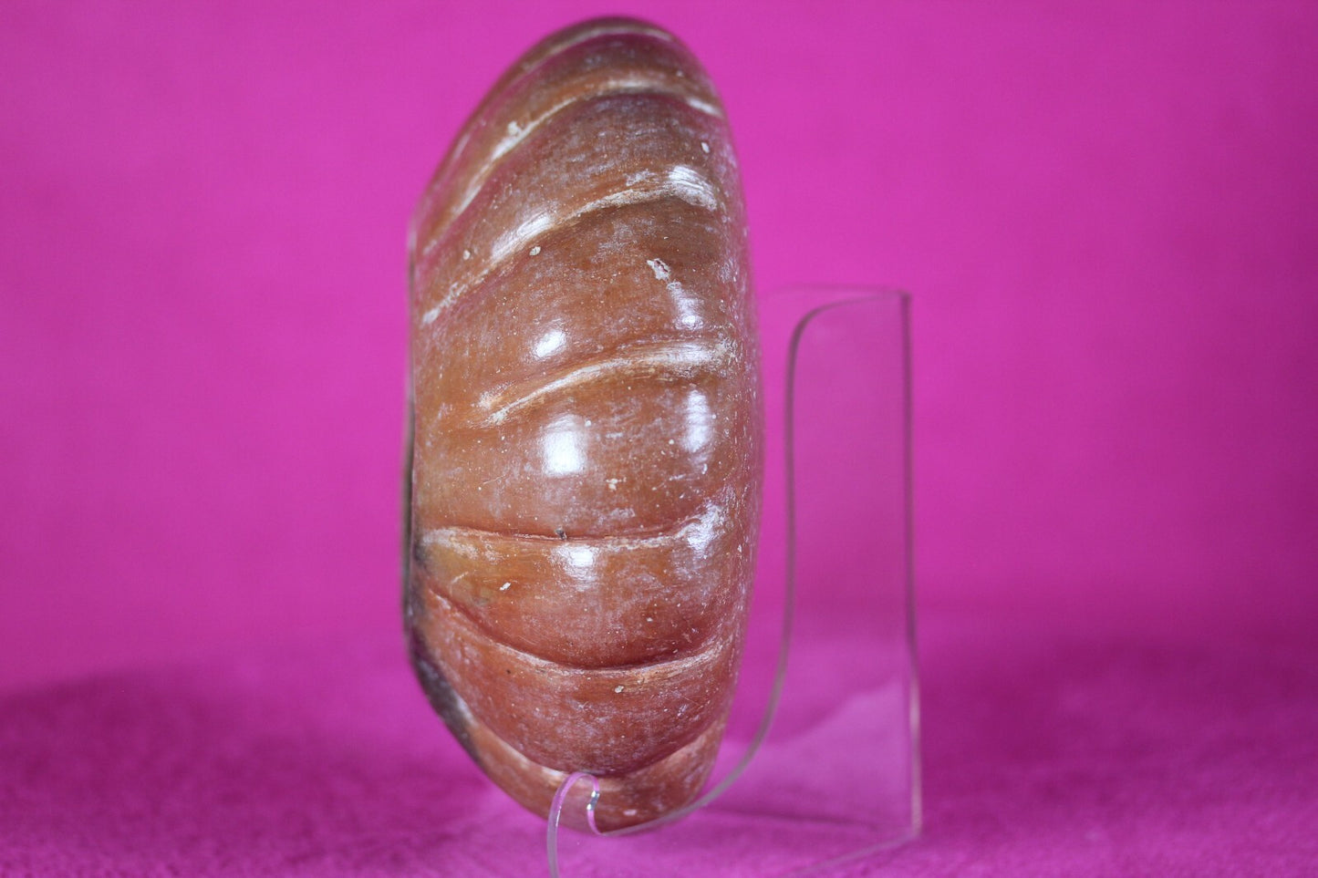 Pre Columbian Authentic Artifact Gadrooned Bowl Michoacan Mexico 200 BC COA T46