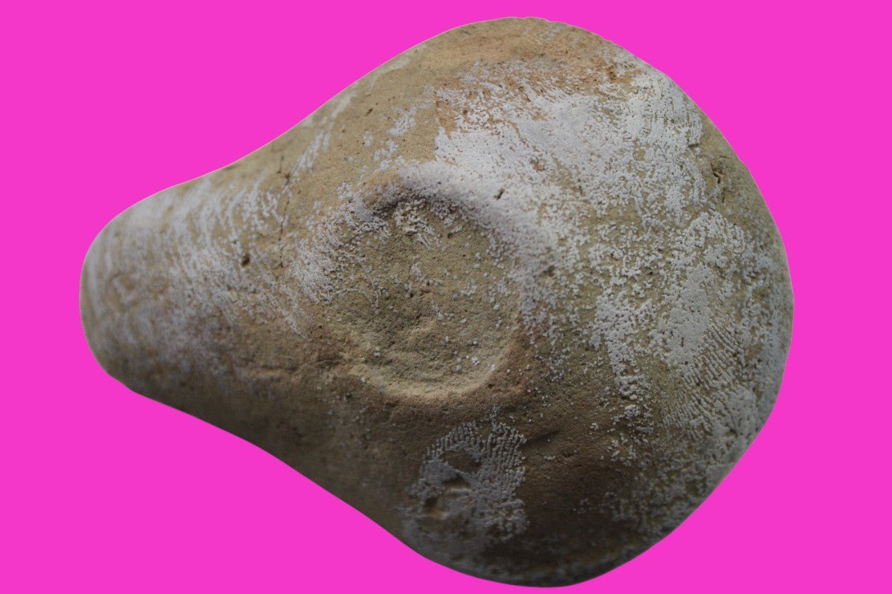 Ancient Holy Land Oil Lamp Artifact From Jesus Christ Home Land 100-500AD COA 67