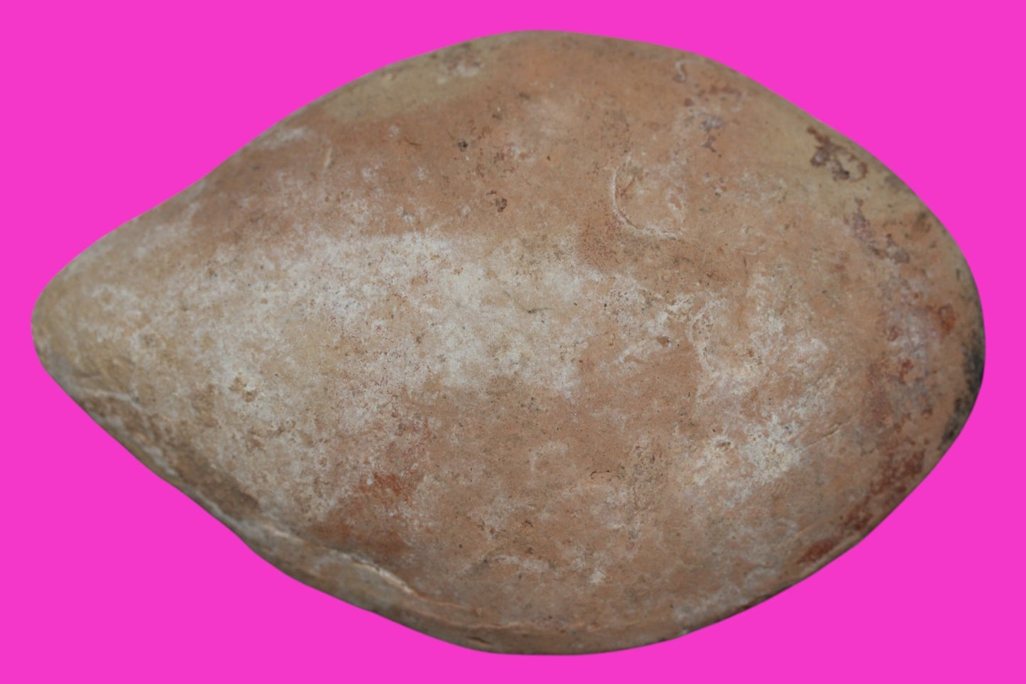 Oil Lamp Holy Land Ancient Artifact Jesus Christ Home Israel 100-400 AD COA J106